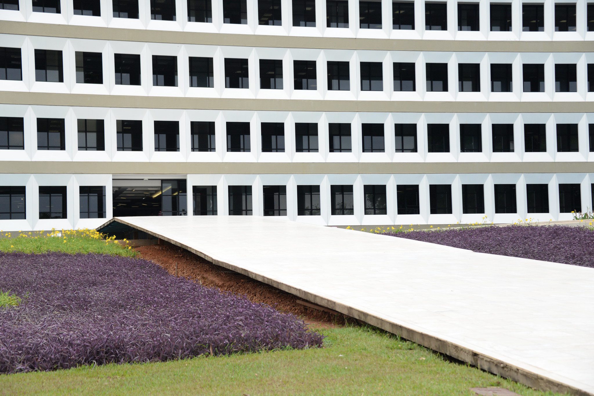 TCU agora é uma Instituição Científica, Tecnológica e de Inovação