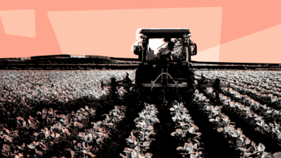 Insejur: Agro lidera otimismo com reforma tributária