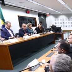 ANP sofre pressão na Câmara contra proposta de classificação de gasodutos de transporte
