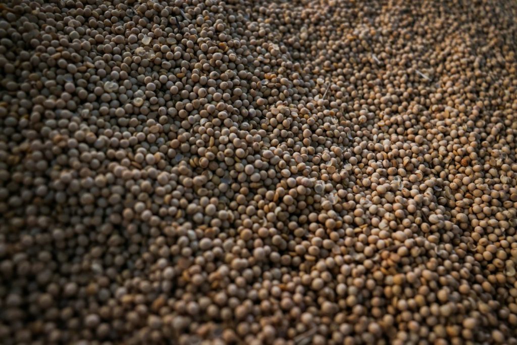 moratoria da soja stf