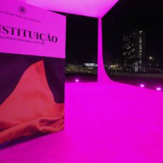 A institucionalização e o futuro dos processos estruturais no Brasil