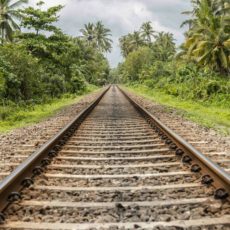 Caso Ferrogrão: STF marca julgamento, mas há dúvidas no governo sobre o projeto