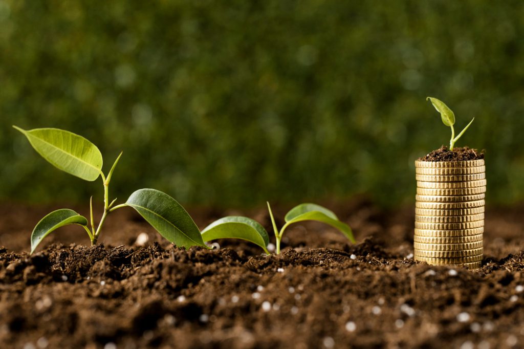 bioeconomia; brasil; financiamento; adaptação; economia; combustíveis; cop30