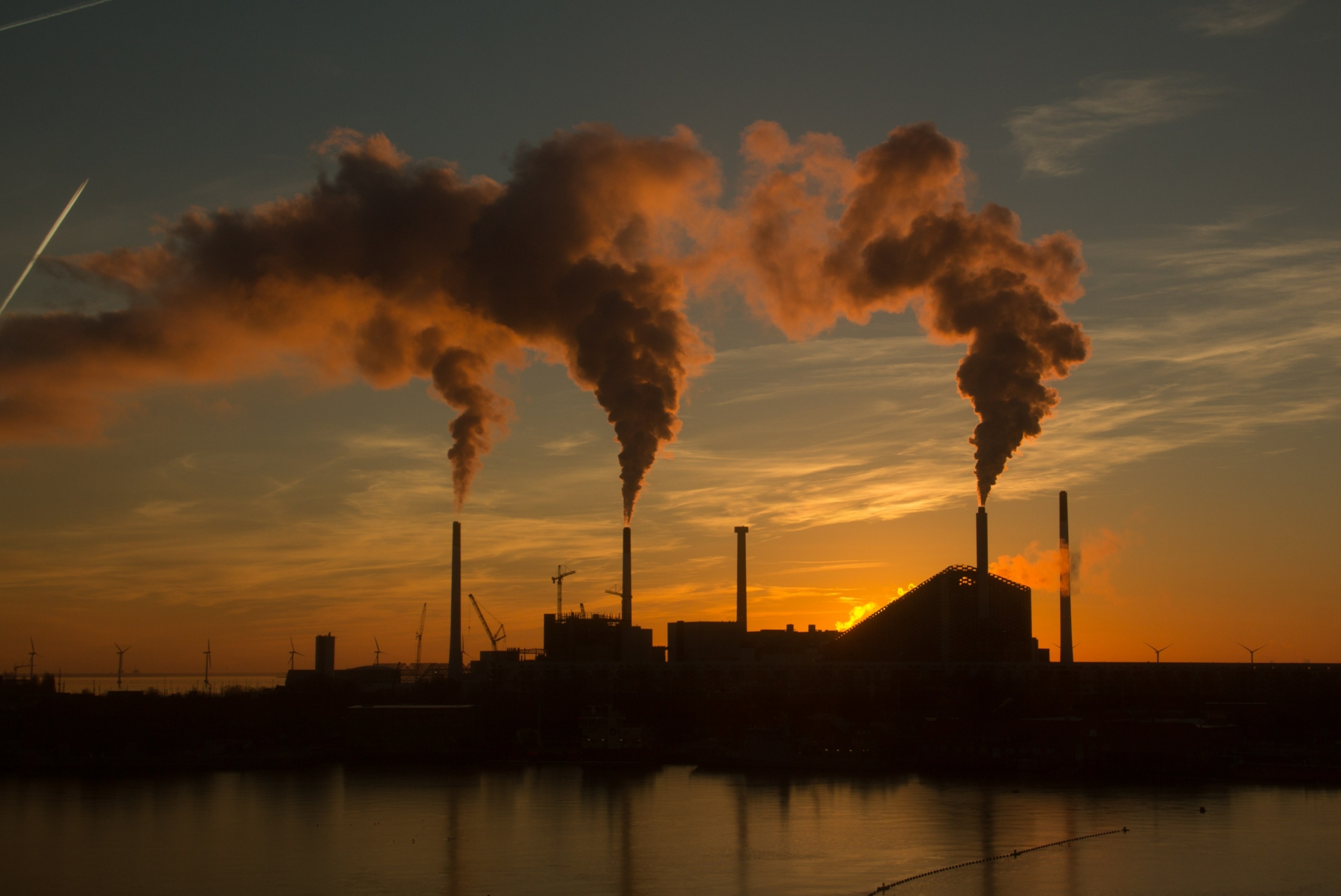 Reforma tributária e mercado de carbono: clareza para o futuro, indefinição do presente