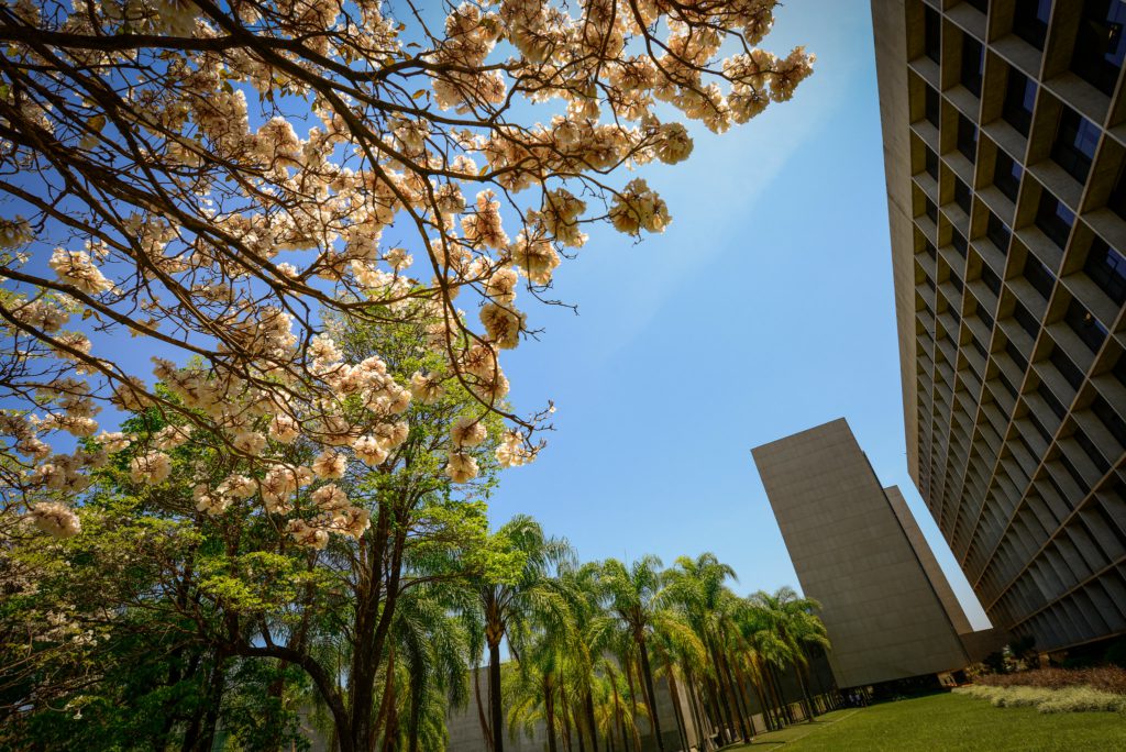 Filtro de relevância do STJ entra em vigor em setembro; veja como será o fluxo - QTU Questões do Universo