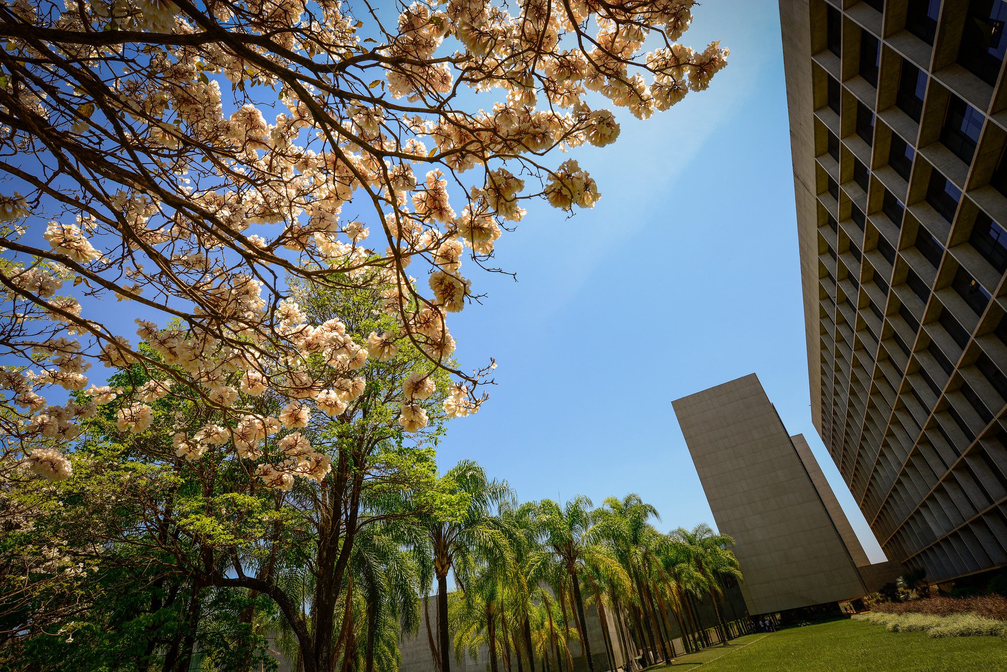 Filtro de relevância do STJ entra em vigor em setembro; veja como será o fluxo