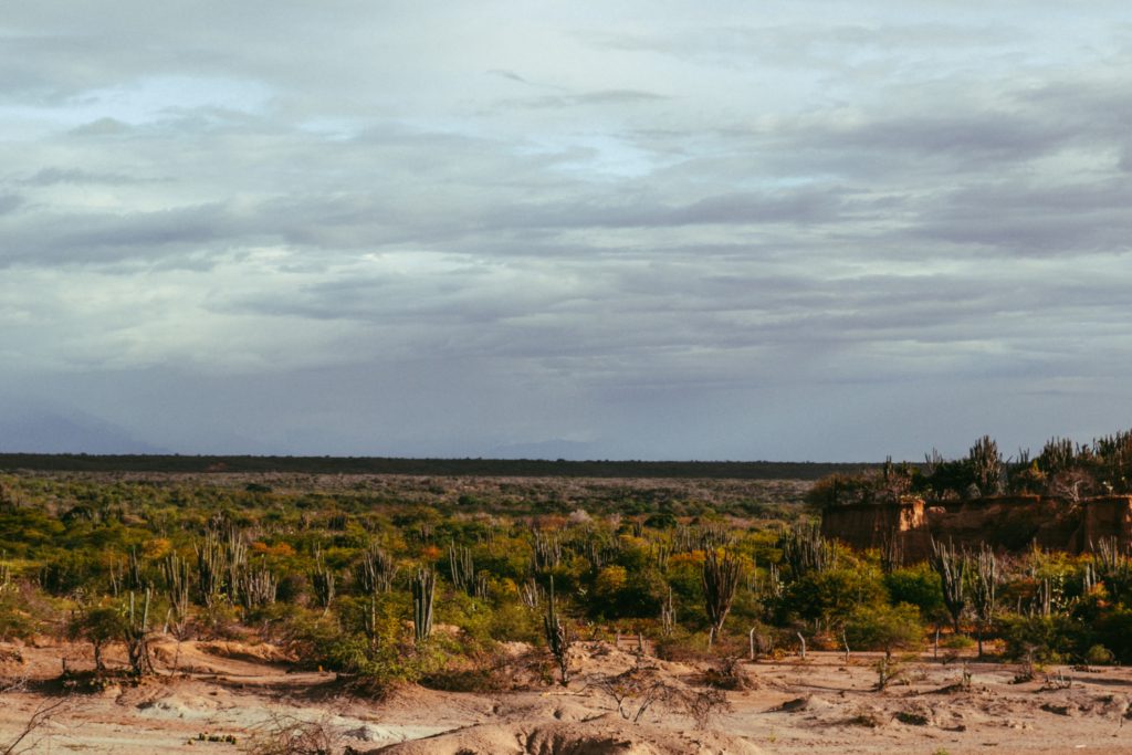 Notas sobre a litigância climática no STF: evolução e desafios