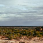 Notas sobre a litigância climática no STF: evolução e desafios
