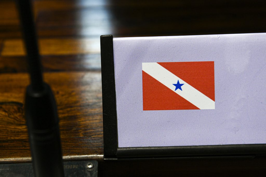 Quem são os pré-candidatos ao Senado pelo Pará (PA) nas eleições 2026