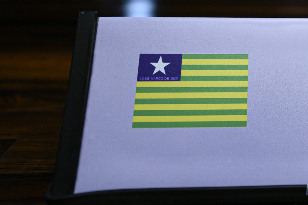 Quem são os pré-candidatos ao Senado pelo Piauí (PI) nas eleições 2026