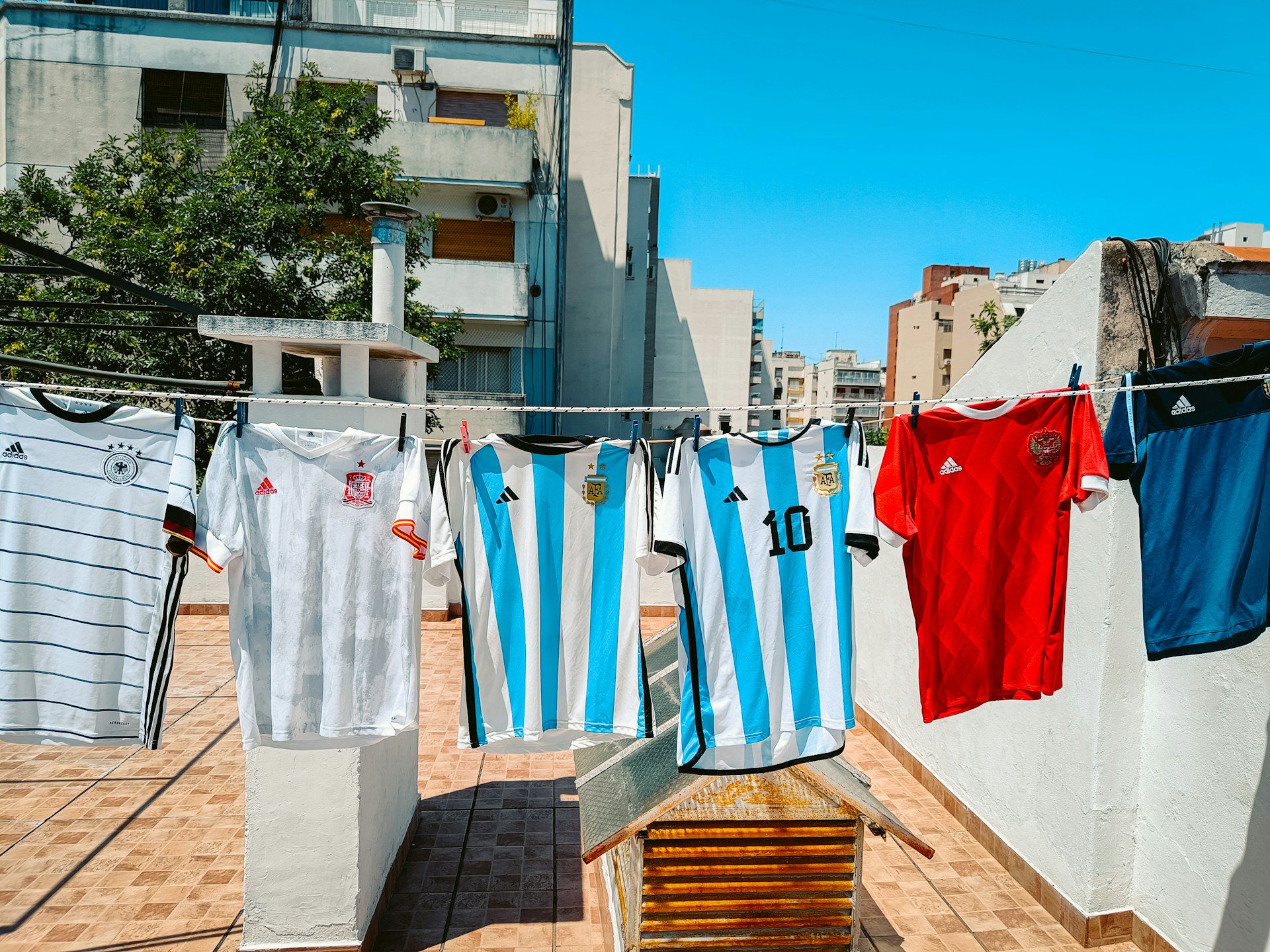 O Direito e a Copa do Mundo