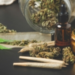 Anvisa amplia reliance para cannabis medicinal e busca acelerar acesso a produtos