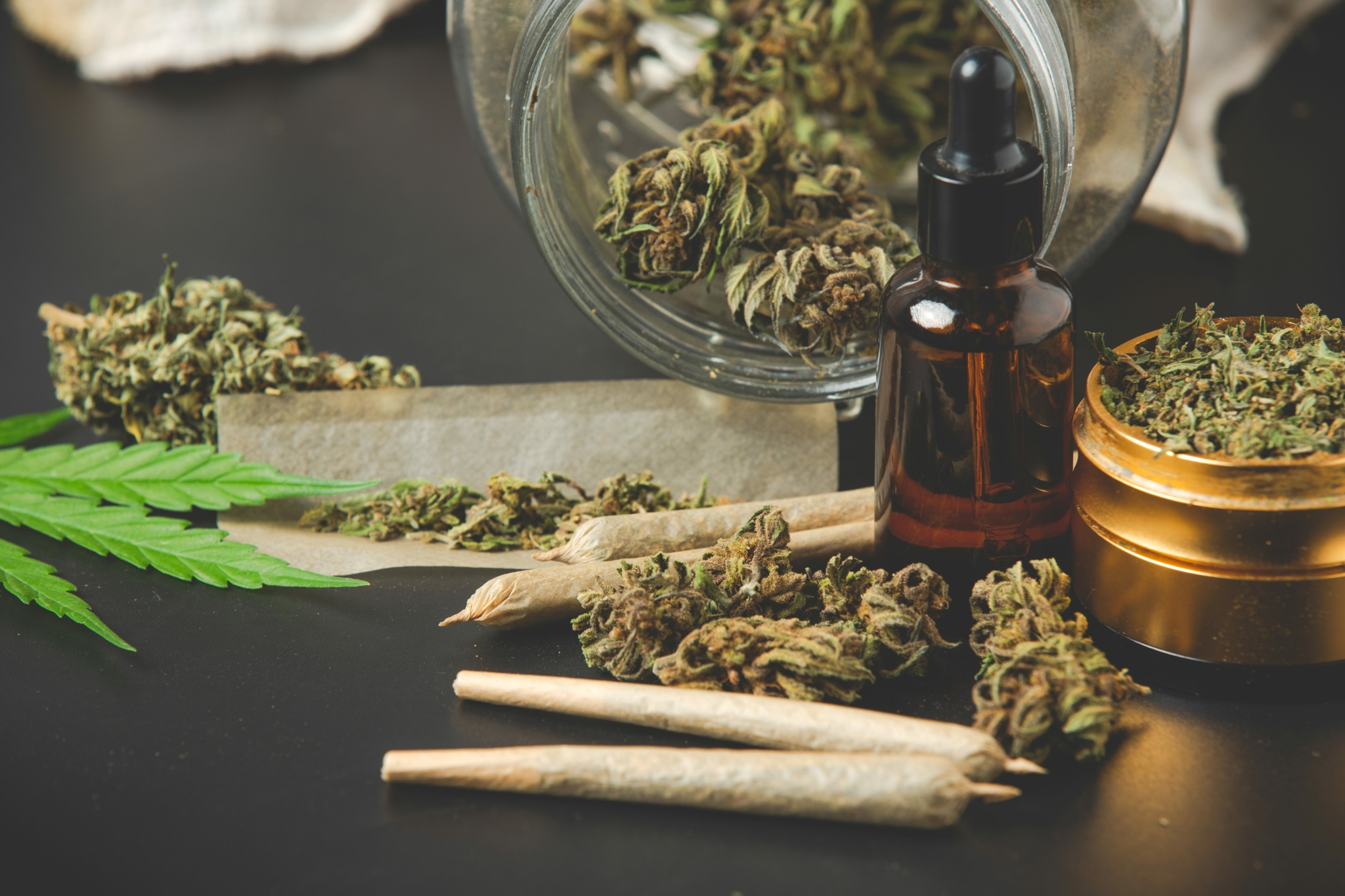 Anvisa amplia reliance para cannabis medicinal e busca acelerar acesso a produtos