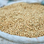 A nova geoeconomia da soja e o futuro da parceria Brasil-China