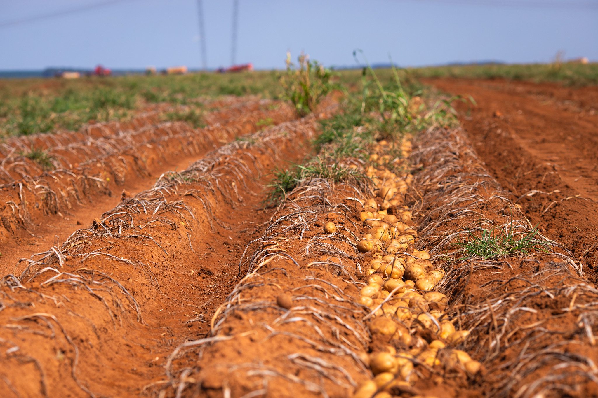 Dívidas rurais: Agro rebate Fazenda e estima custo de R$ 65 bi em 13 anos