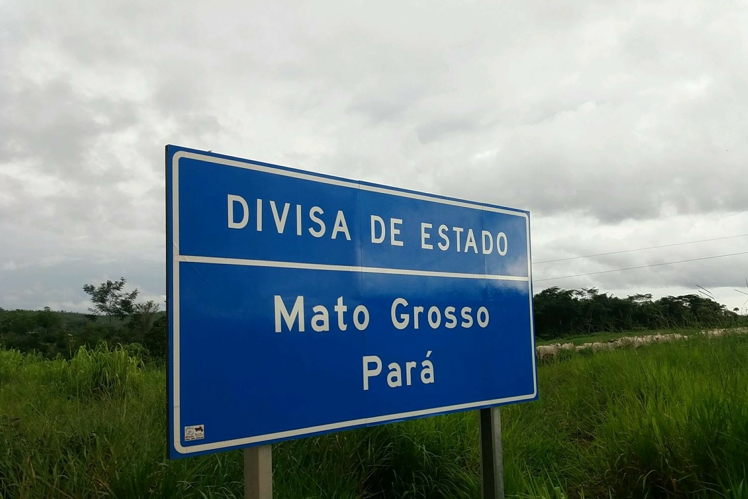 Dino homologa primeiro acordo entre Mato Grosso e Pará em disputa sobre divisa
