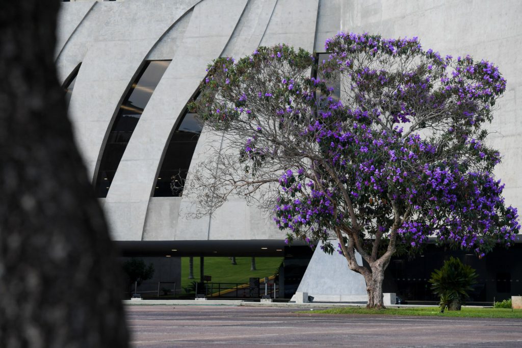 Associação de prefeitos vai ao STF contra mudanças no regimento interno no STJ