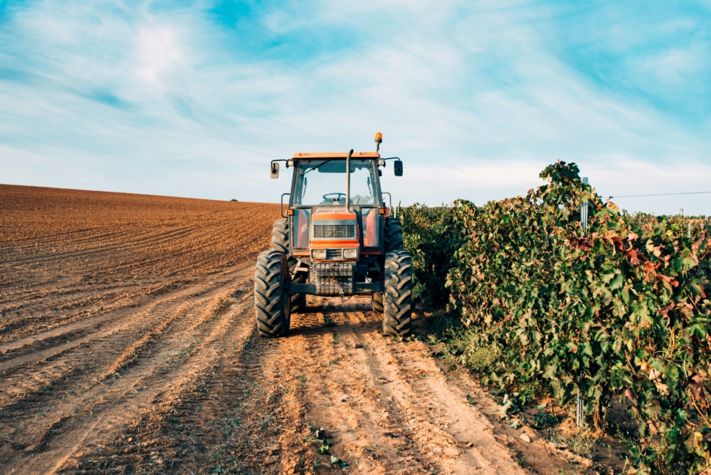 A crise do agronegócio e os caminhos da recuperação