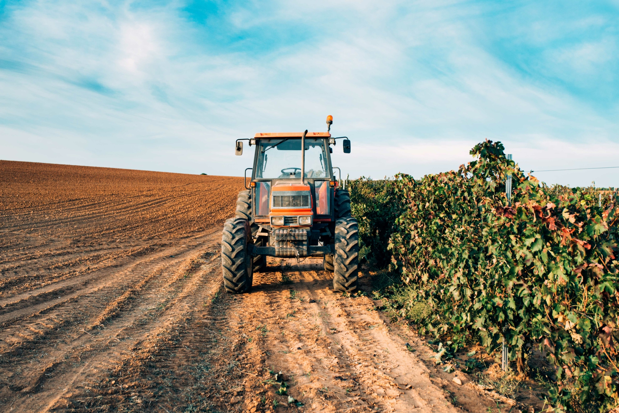 A crise do agronegócio e os caminhos da recuperação