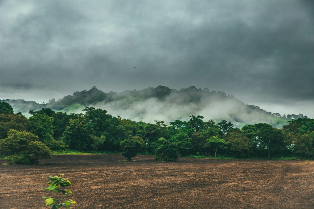 Antropoceno, Capitaloceno, ou o preço de tratar a natureza como mercadoria