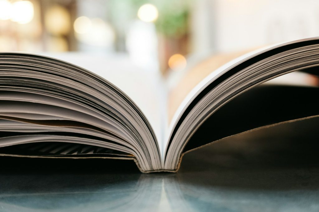 Pierpaolo Bottini e Renato Silveira lançam livro ‘Código Penal e Desigualdade’ na USP