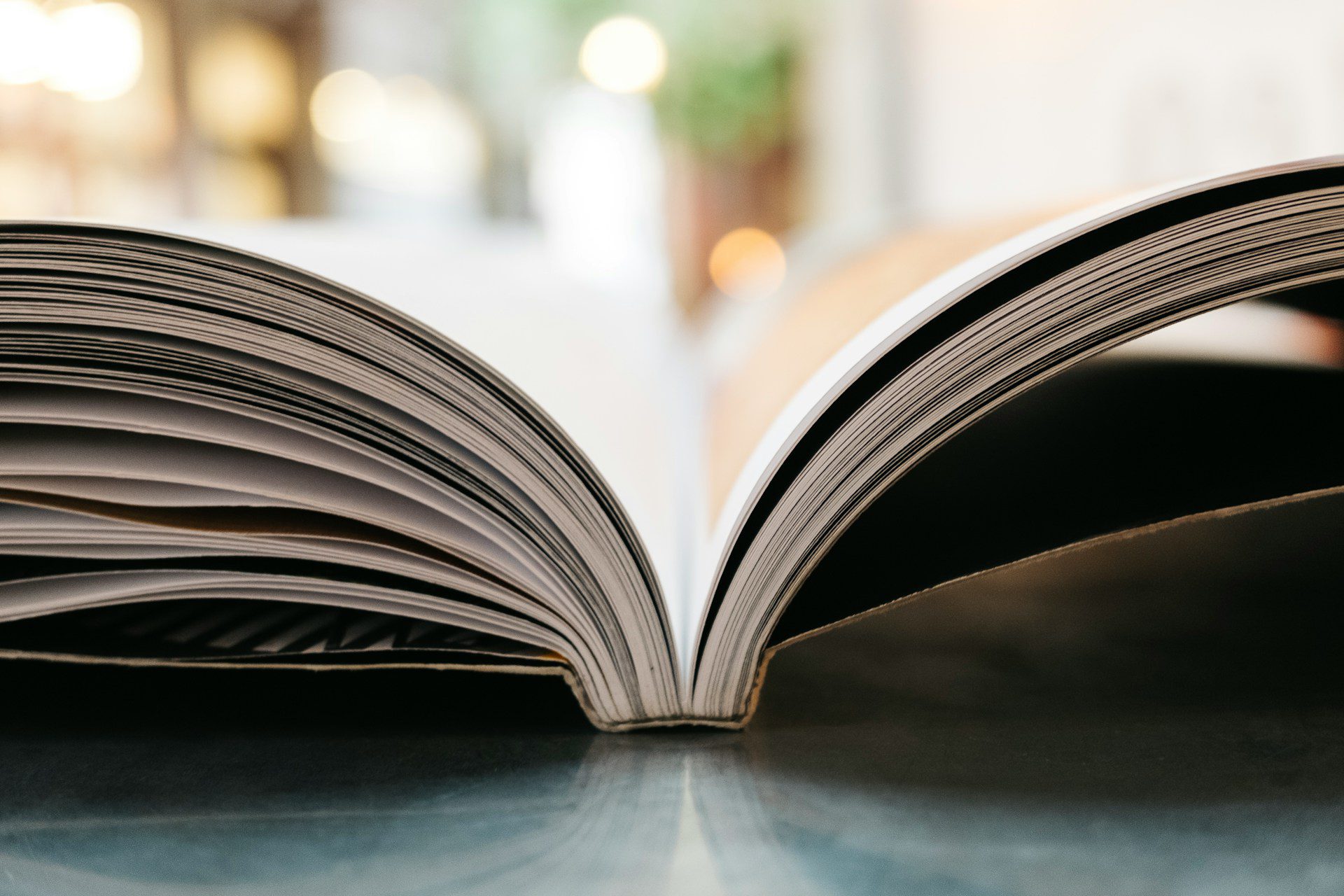 Pierpaolo Bottini e Renato Silveira lançam livro ‘Código Penal e Desigualdade’ na USP