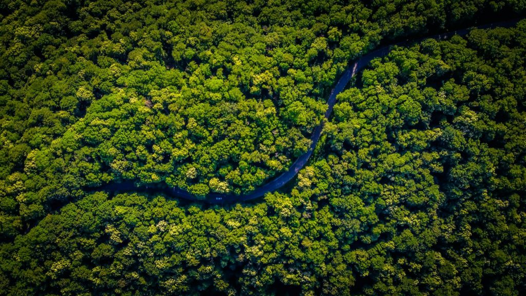 A biodiversidade entrou no compliance