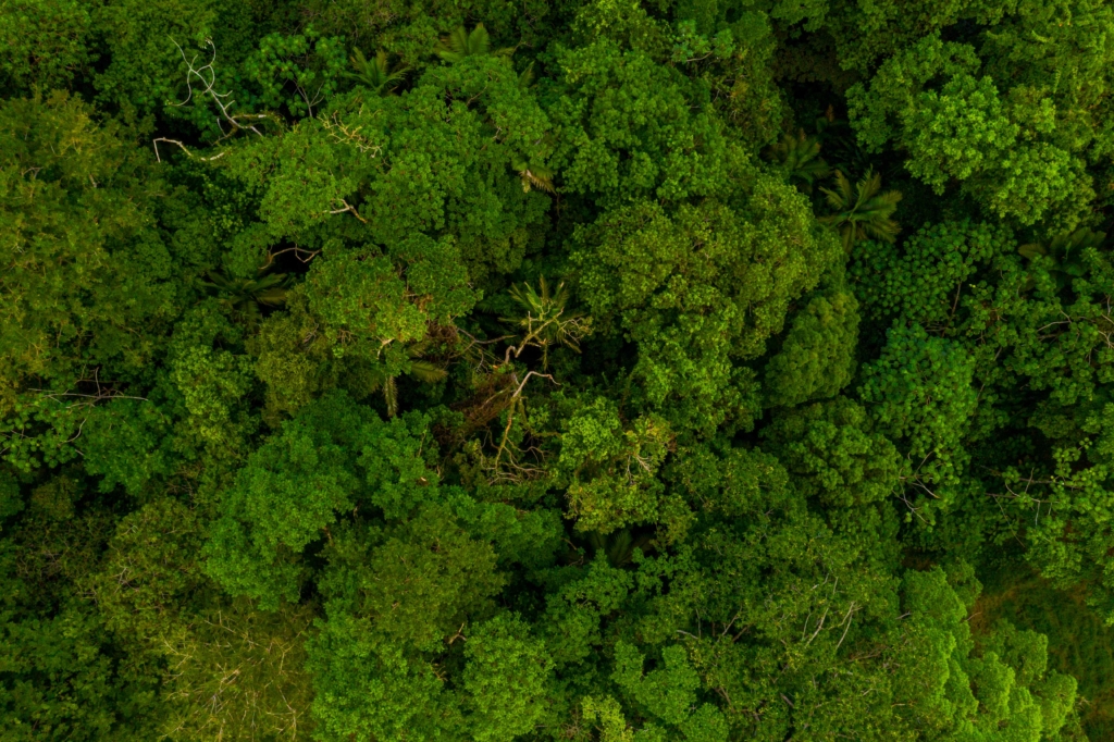 Onde a fumaça chega, a informação também precisa chegar
