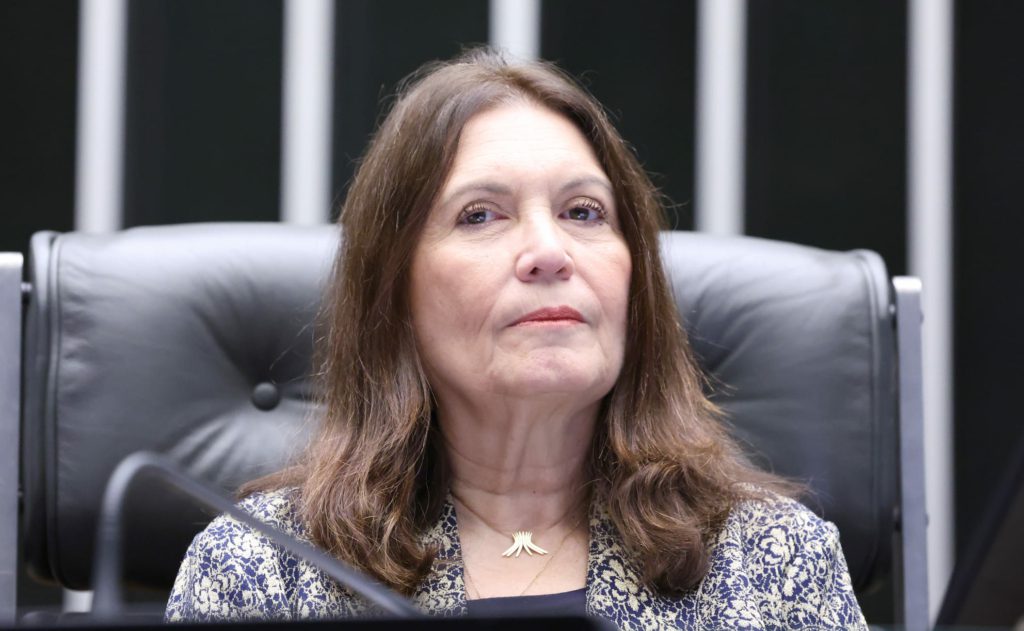 stf flavio dino tre df bia kicis propaganda irregular