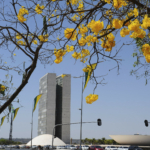 Quem são os candidatos a deputado federal por Mato Grosso (MT) nas eleições 2026