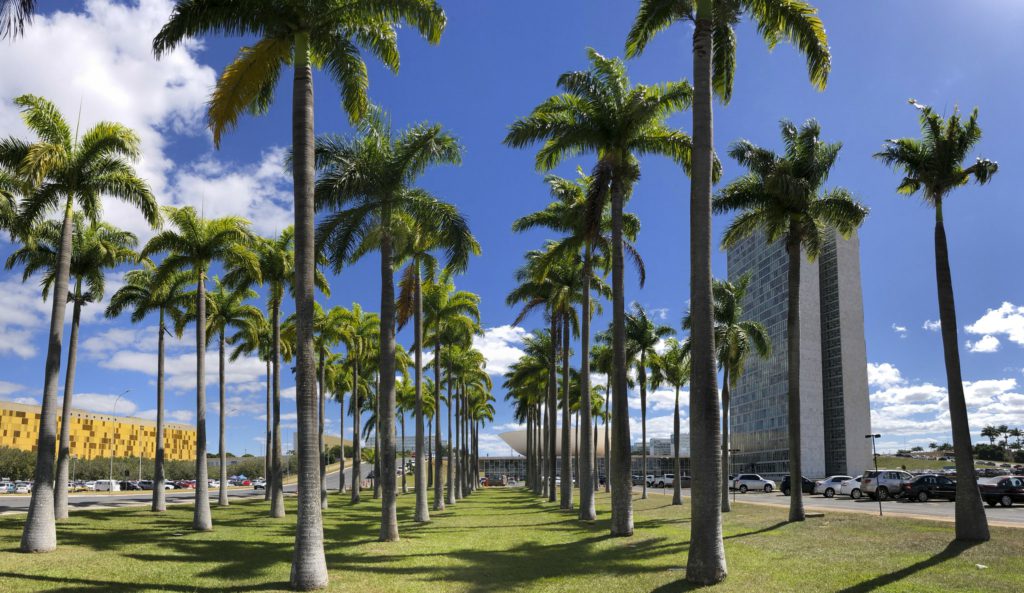 candidatos deputado federal goias go eleições 2026
