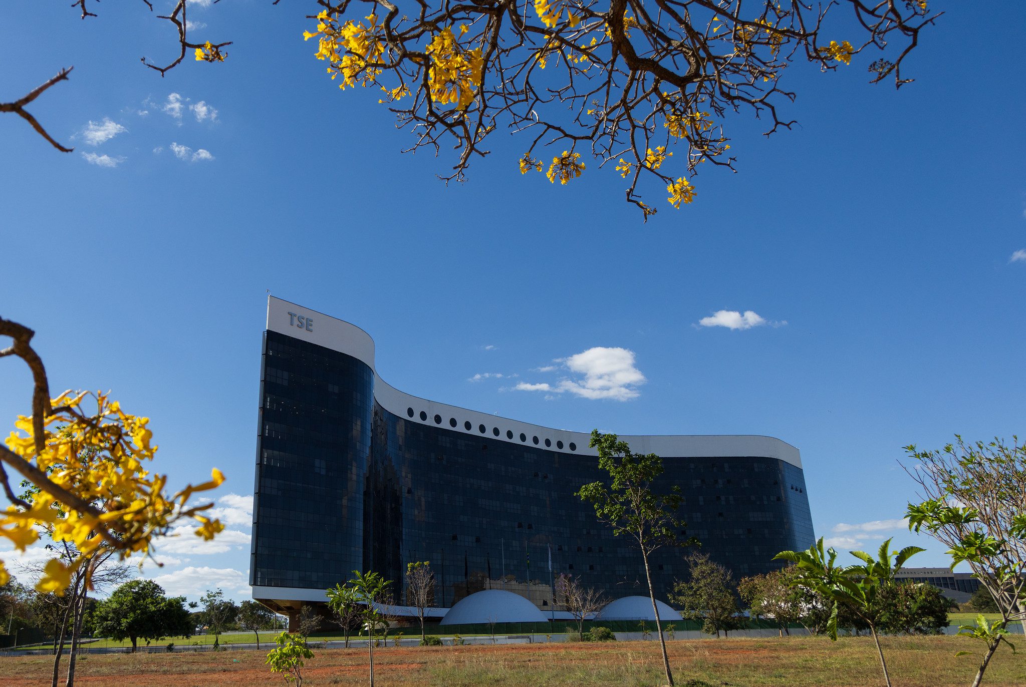 Mudança na Resolução TSE 23.610 pode afetar garantias constitucionais de apoiadores